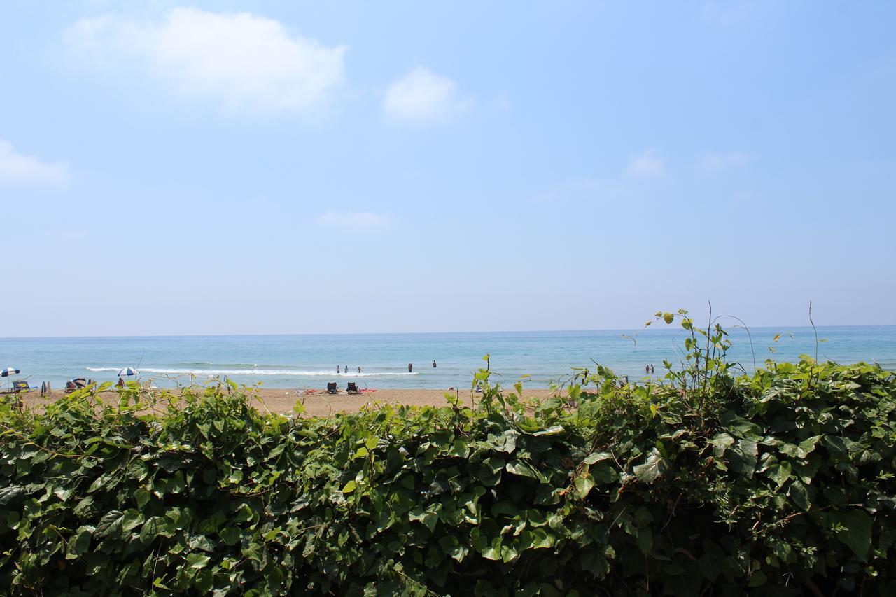 Glyfada Gorgona Apartments Dış mekan fotoğraf